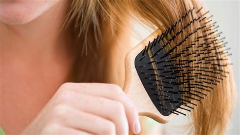 11 Things You Need To Know About Head Lice Everyday Health