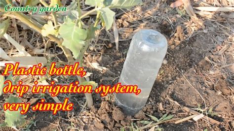 Plastic Bottle Drip Irrigation System Very Simple Ep1