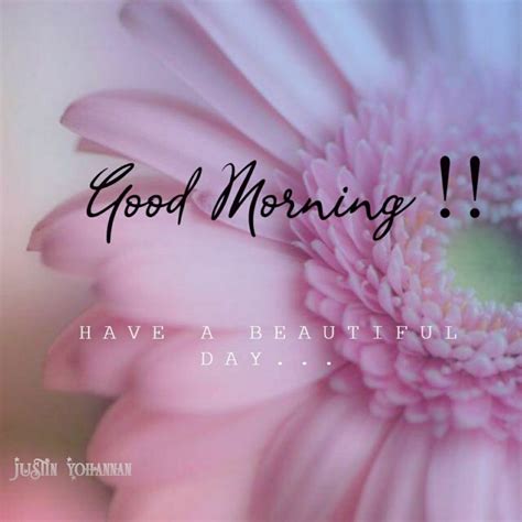 Good Morning 2020 In 2020 Beautiful Day Quotes Good Day Quotes