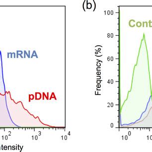 GFP Expression And Cellular Uptake Of MRNA And PDNA In Cultured Cells