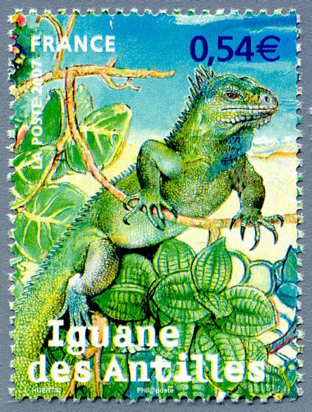 Zoom Sur Le Timbre Iguane Des Antilles Espèces Protégées D´outre Mer