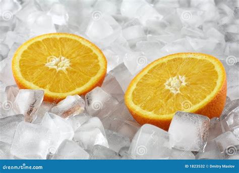 Orange On Ice Stock Photo Image Of Sour Slice Cuisine 1823532