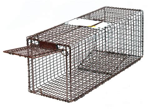 Tuffy 24 Kitten Trap Cat Traps Tuffy Small Pets