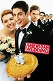 Trust the Dice: American Wedding (2003)