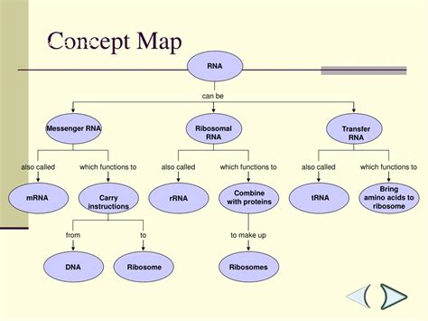 PPT - DNA to PROTEIN PowerPoint Presentation, free ...