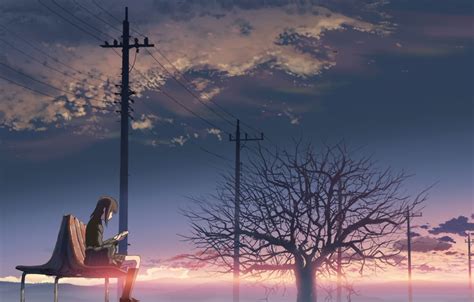 Обои девушка закат дерево провода аниме арт школьница 5