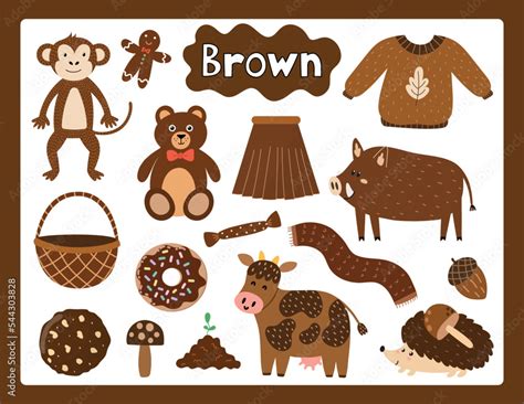 Set Of Brown Color Objects Primary Colors Flashcard With Brown