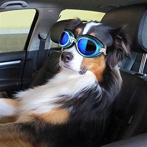Petleso Dog Driving Cycling Sunglasses Uv Protection Waterproof Large