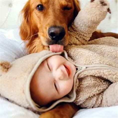 45 Cute Pictures Of Babies And Dogs