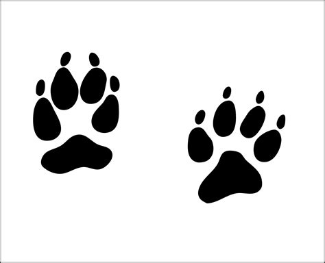 Coyote 1 Paw Print Foot Print Tracks Animal Pet Feet Etsy