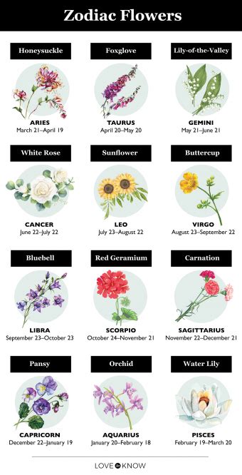 Discovering Your Zodiac Signs Flowers Lovetoknow