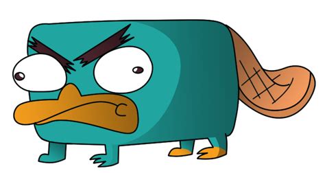 Platypus Pictures Cartoon Clip Art Library