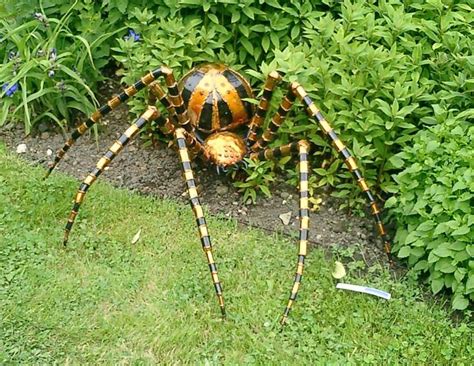What happens when a wolf spider bites you? Spiders (Houston, Dallas, San Antonio: hardwood floor ...