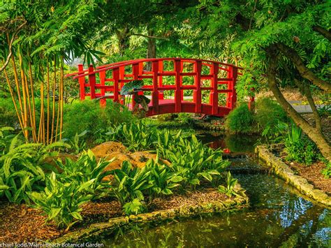 Things to do near ichimura miami japanese garden. Japanese Garden | Miami Beach Botanical Garden