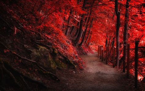 Sfondi Alberi Paesaggio Foresta Autunno Montagne Natura Rosso