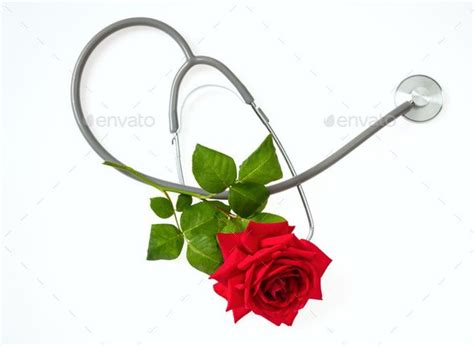 Stethoscope And Red Rose With Green Leaves On White Background Top