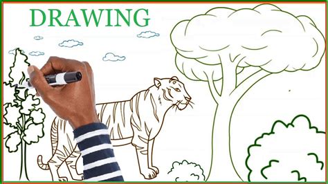 Tiger Drawing Animals In Forest Drawing Color Drawing Tiger