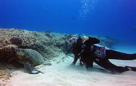 Experience unparalleled adventure and see the world beneath the waves. Discover Scuba Diving Courses - Island Divers Hawaii