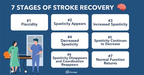 Brunnstrom Stages 101 7 Stages Of Stroke Recovery Homage Malaysia