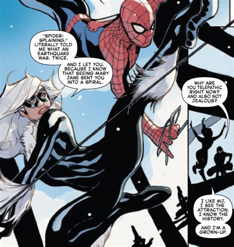 Blackcat And Spiderman Comics