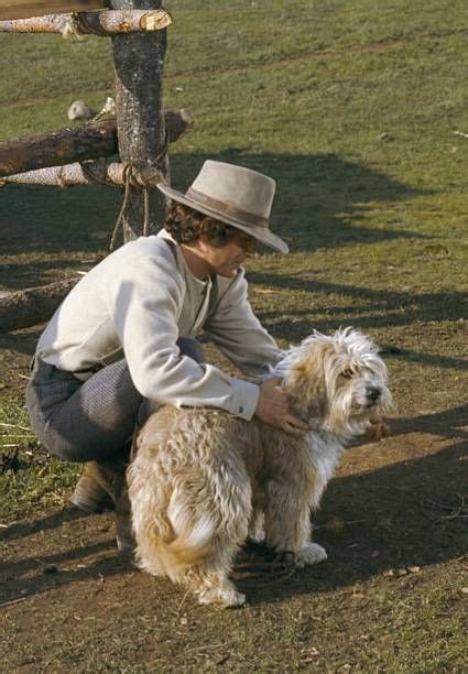 There are 6 males (3 b/w and 3 tri) and 5 this is sunny's first litter. PRAIRIE Pilot Episode Air Date Pictured Michael Landon as Charles Philip Ingalls Jack the Dog ...