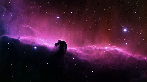 Outer Space Stars Nebulae Horsehead Nebula Wallpaper