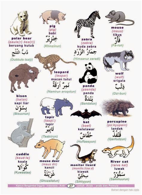Nama Haiwan Dalam Bahasa Arab Nama Nama Haiwan Dalam Bahasa Arab Photos