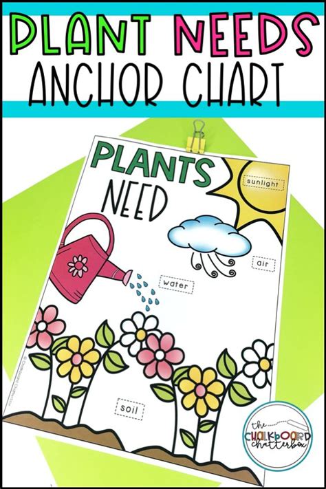 A Plant Needs Anchor Chart With The Words Plants Need