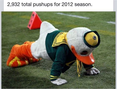 Puddles 🏈 🏈 🏈 🏈 Oregon Ducks University Of Oregon Mascot