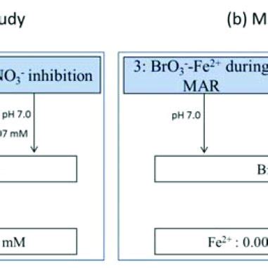 Experimental overview of anoxic batch reactors. T = 11.5 ± 0.5 • C (n =... | Download Scientific ...
