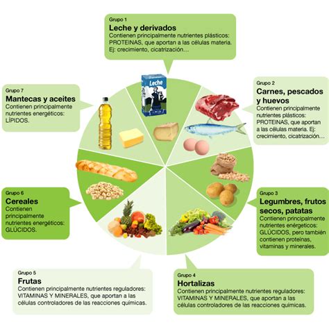 Alimentacion Saludable Nutrientes Existen 5 Tipos De Nutrientes