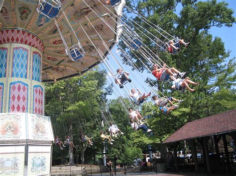 Hd Wallpaper Amusement Park Swings Tree Amusement Park Ride Plant Built Structure