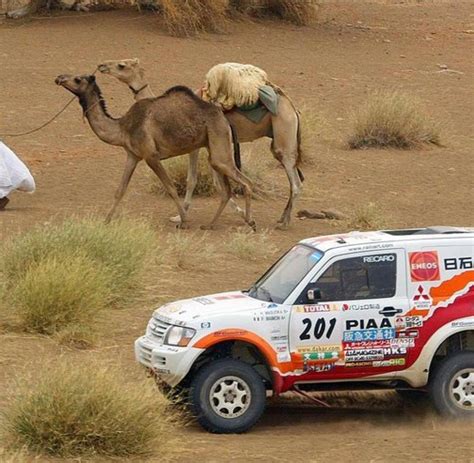 Motorsport Rallye Dakar ist nichts für weiche Jungs WELT
