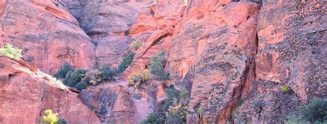 Elephant Arch In Red Cliffs National Conservation Area Wilderness And