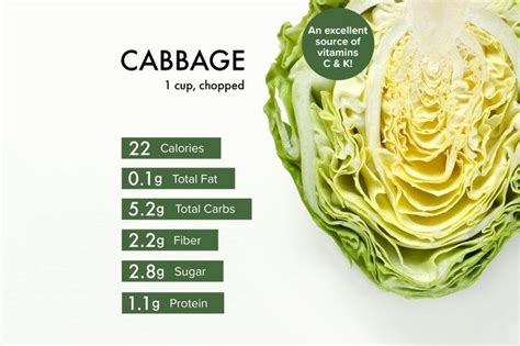 Find Out All About Cabbage Nutrition Facts And The Benefits Of Cabbage
