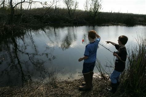 Free Picture Two Young Boys Enjoy Day Fishing