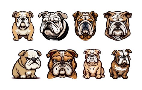 Bulldog Face Png Illustrations Bundle Graphic By Best Sublimation T