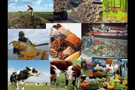 Ue Celebrará Consejo De Agricultura Y Pesca Noticias Agropecuarias