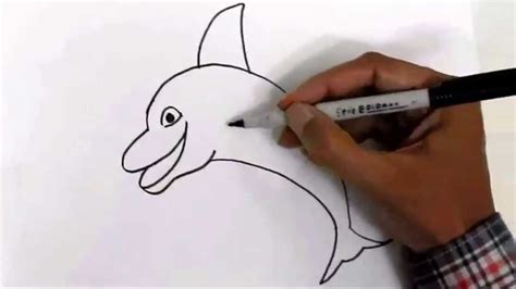 Copy Of How To Draw A Dolphin In Easy Steps For Children Beginners