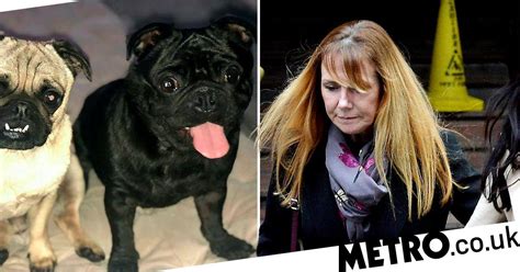 Dog Walker Banned From Keeping Pets After Five Went Missing In Her
