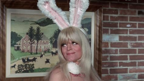 Bunny Bewitched Wiki Fandom