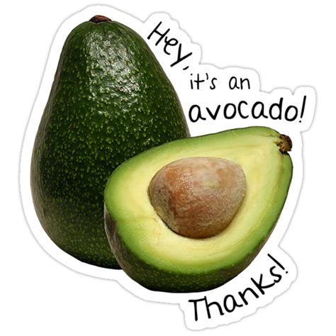 Avocado Stickers By Allison Jacobs Redbubble