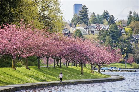 Guide To Spring In Seattle