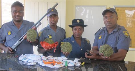police weed out dagga and firearms zululand observer