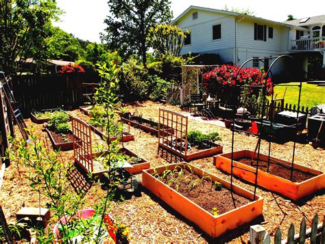 How To Lay Out A Vegetable Garden For Maximum Yield In 2023 Easy Backyard