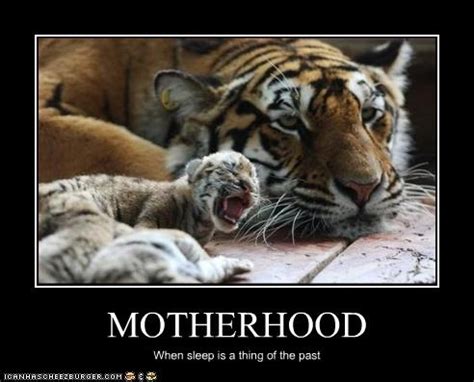 3 mothers train your children to only speak. Animal Mother Quotes. QuotesGram