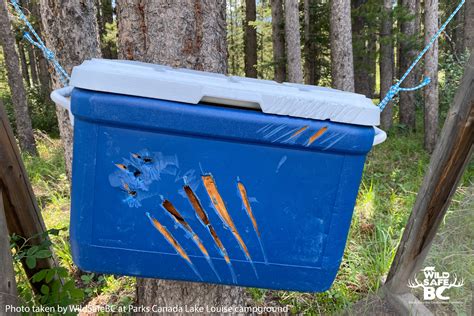 Cooler With Claw Marks 01 Wildsafebc