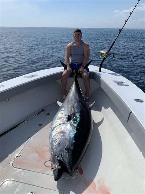 Bluefin Tuna 95 600lb Of The Coast Of Cape Cod Rfishing