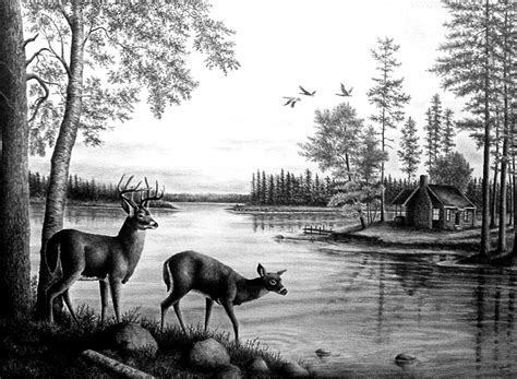 Deers Near The Lake 50x70 Landscape Drawing By Yilmazgunes93 On Deviantart