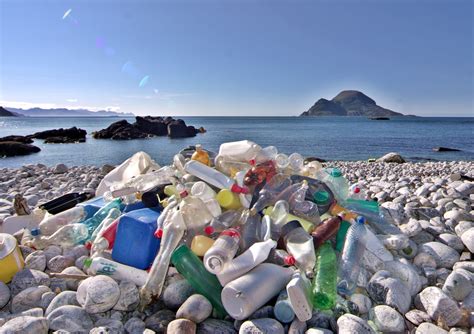 The Menace Of Marine Litter Ecomena